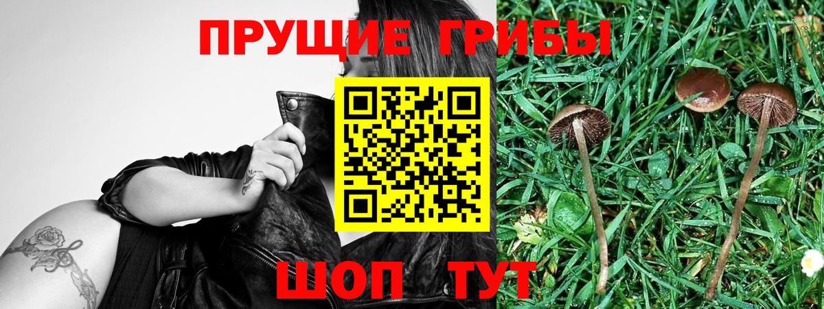 Псилоцибиновые грибы мухоморы Надым